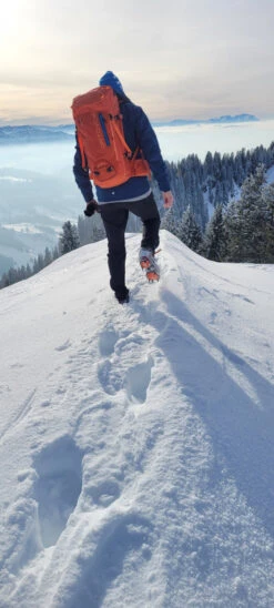 Ortovox Peak 35 - Tourenrucksack -Geschäft Für Campingausrüstung ortovox peak 35 tourenrucksack 479eeaaef0ad34f8d4b20e458b7c94a1 1