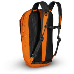 Pacsafe Eco 25 - Daypack -Geschäft Für Campingausrüstung pacsafe pacsafe eco 25 daypack detail 4